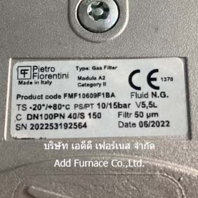 Pietro Fiorentini Gas Filter FMF10609F1BA